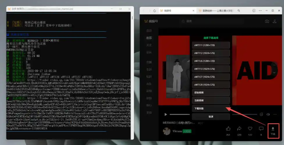 Github热门工具，视频号下载神器又来了！一键注入下载按钮，轻松下载，使用便捷wx_channel-翻身路网创