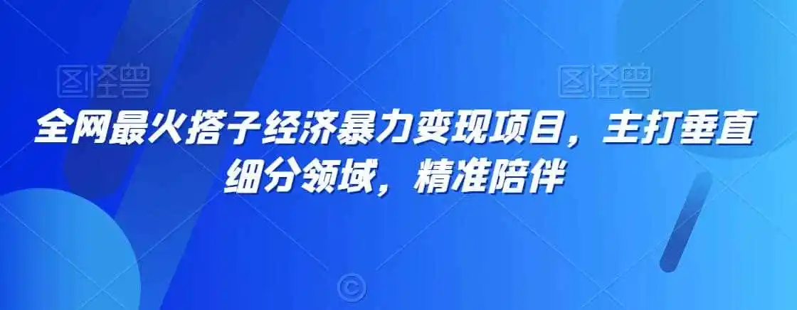 全网最火搭子经济暴力变现项目，主打垂直细分领域，精准陪伴【揭秘】-翻身路网创