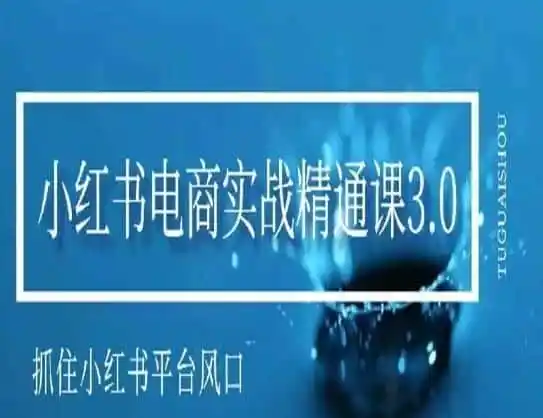 小红书电商实战精通课3.0，抓住小红书平台的风口，不错过有一个赚钱的机会-翻身路网创