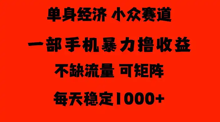 26年暴力单身经济，稳定日入500-1k，不缺流量，流量极大，冷门小众赛道，门槛低小白轻松上手【揭秘】-翻身路网创