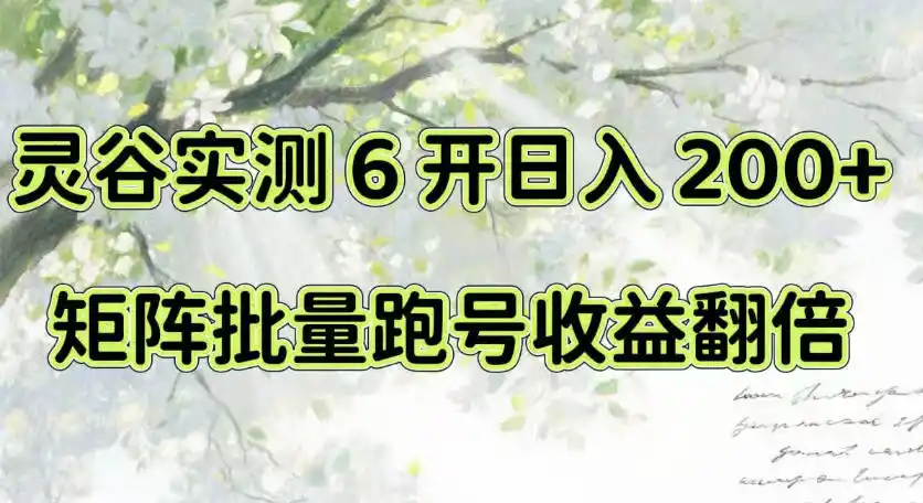 一台电脑就能做！灵谷实测6开日入200+，矩阵批量跑号收益翻倍【揭秘】-翻身路网创
