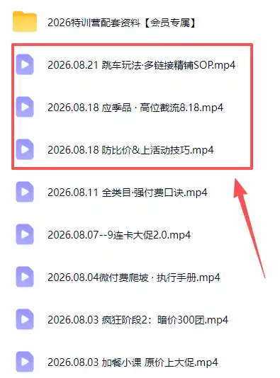 拼多多实战特训营(更新26年0822-翻身路网创