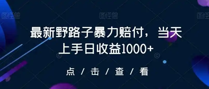 最新野路子暴力赔付，当天上手日收益1000+【仅揭秘】-翻身路网创