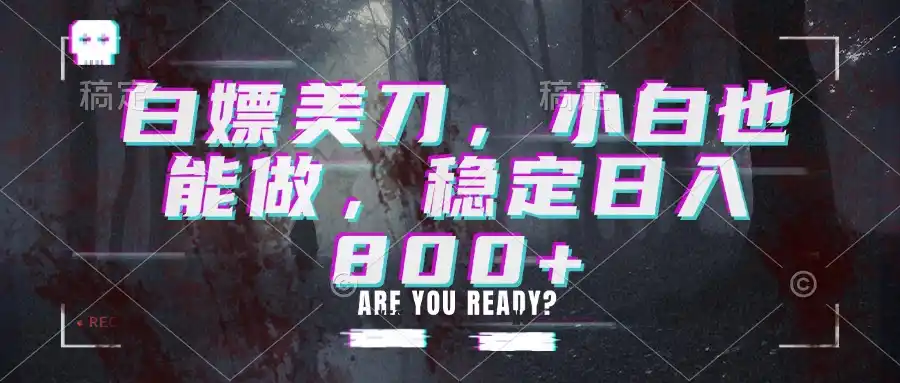 白嫖美刀，小白也能做，稳定日入800+-翻身路网创
