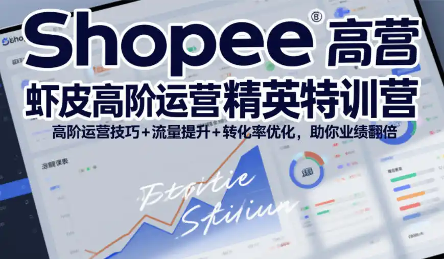 Shopee虾皮高阶运营精英特训营，高阶运营技巧+流量提升+转化率优化，助你业绩翻倍(更新26年9月)-翻身路网创