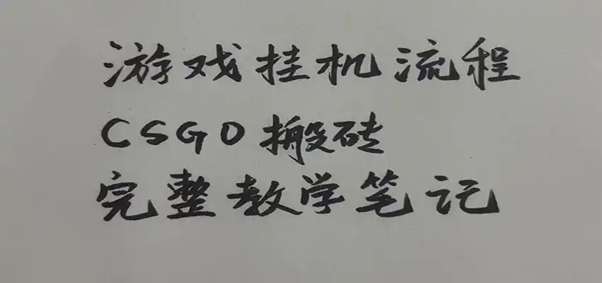 游戏挂机全流程笔记分享，CSGO游戏搬砖，小白看了当天学会见收益-翻身路网创