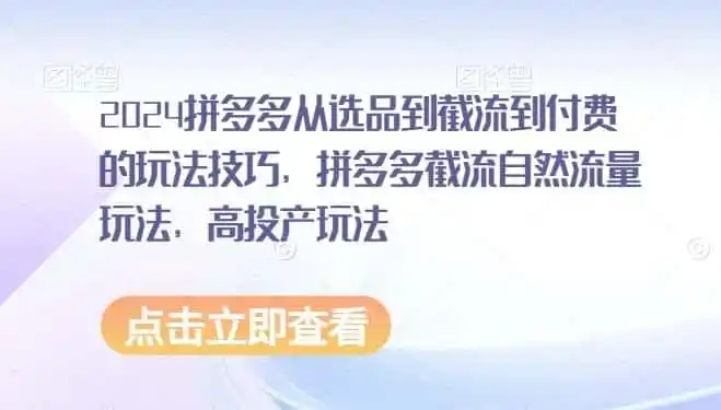 2024拼多多从选品到截流到付费的玩法技巧,拼多多截流自然流量玩法,高投产玩法-翻身路网创