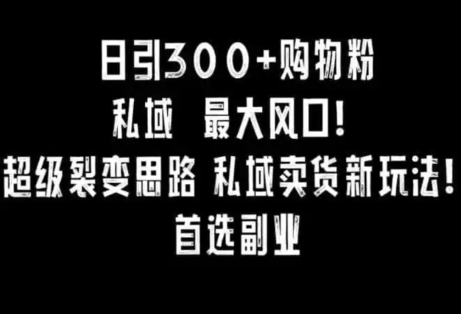 日引300+购物粉，超级裂变思路，私域卖货新玩法，小红书首选副业【揭秘】-翻身路网创