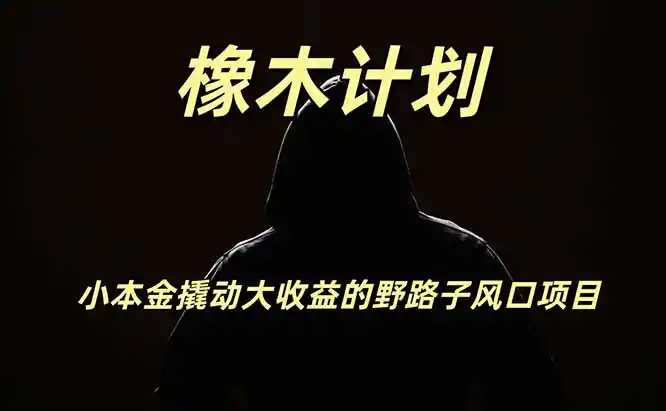 橡木计划，小投入撬动高回报的风口野路子项目，一天投入2小时左右-翻身路网创