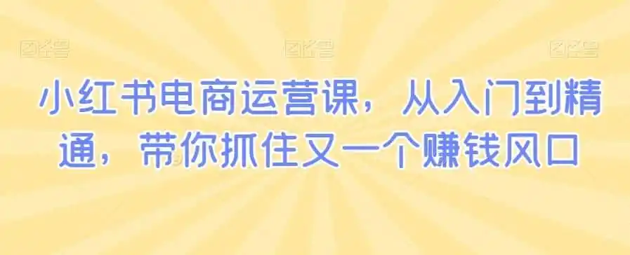 小红书电商运营课，从入门到精通，带你抓住又一个赚钱风口-翻身路网创