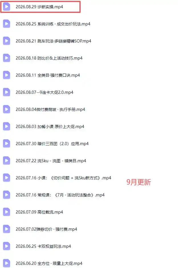 拼多多实战特训营(更新26年0831-翻身路网创
