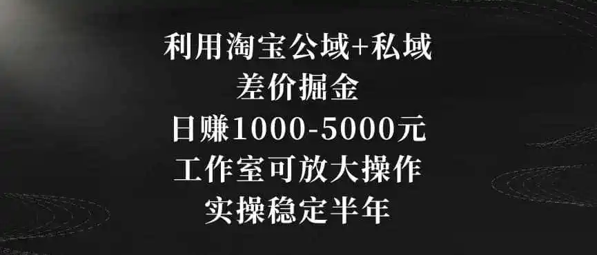 利用淘宝公域+私域差价掘金，日赚1000-5000元，工作室可放大操作，实操稳定半年【揭秘】-翻身路网创