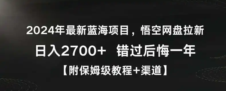 2024年最新蓝海项目，悟空网盘拉新，日入2700+错过后悔一年【附保姆级教程+渠道】【揭秘】-翻身路网创