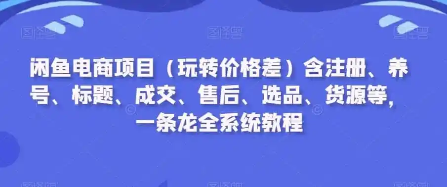 闲鱼电商项目（玩转价格差）含注册、养号、标题、成交、售后、选品、货源等，一条龙全系统教程-翻身路网创
